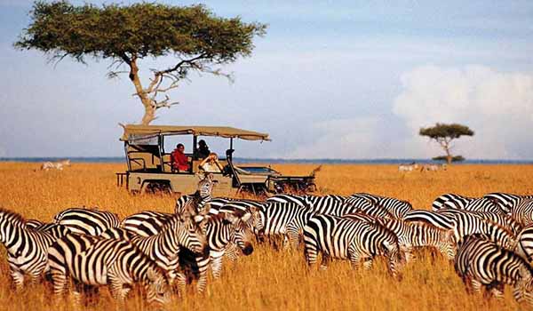 حیات وحش آفریقا در تورهای آفریقا اقساطی