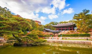 معماری زیبای کره در تور کره جنوبی اقساطی